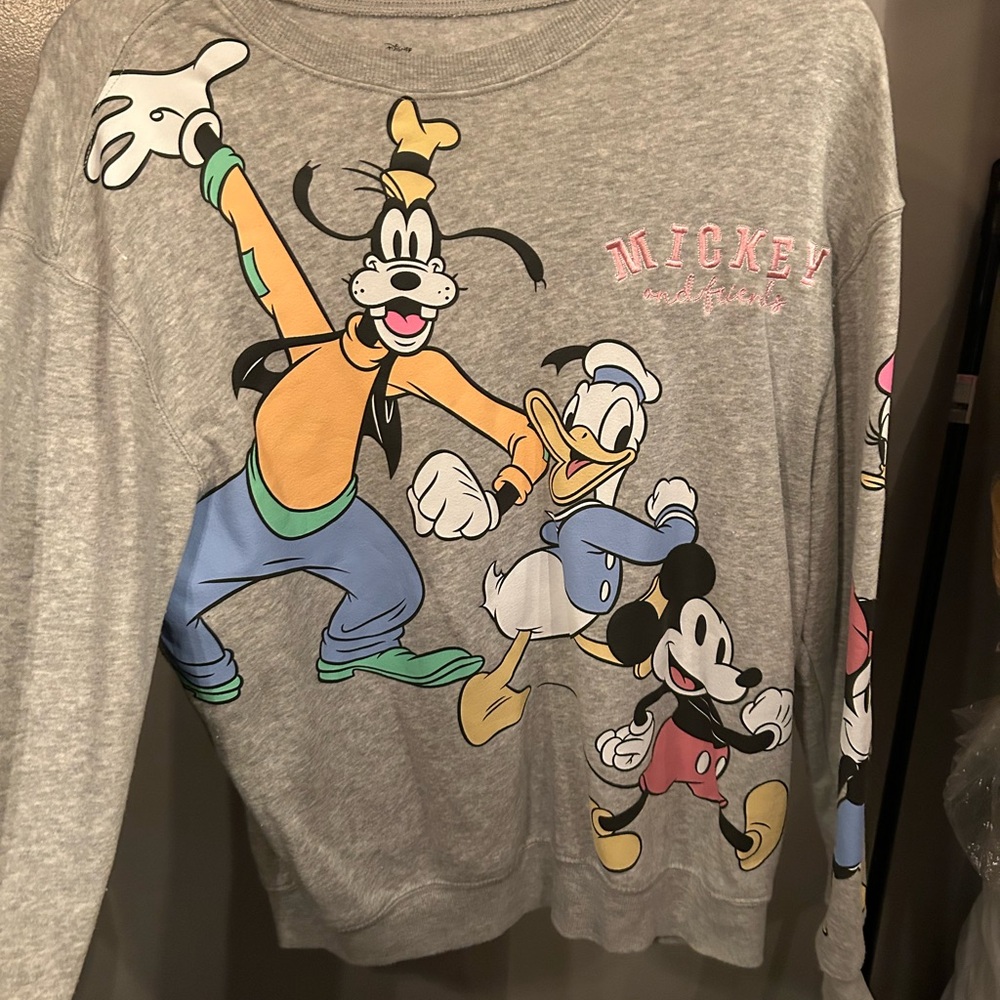 Disney Gray Sweatshirt with Characters